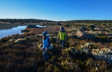 New Zealand holidays & tours