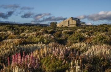 Under Down Under Tours: Heartlands Odyssey - Day 1