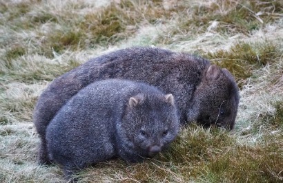 Under Down Under Tours: Heartlands Odyssey - Day 4