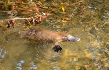 Explore New Zealand with these great holiday ideas