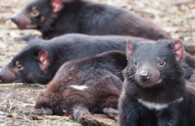 New Zealand holidays & tours