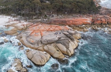 Under Down Under Tours: Tasmanian Discovery - Day 4