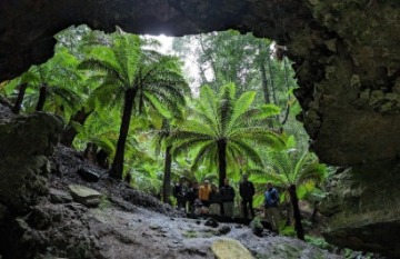Under Down Under Tours: Ultimate Tasmania - Day 4