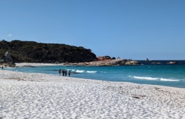 Under Down Under Tours: Ultimate Tasmania - Day 6