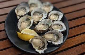 Under Down Under Tours: Ultimate Tasmania - Day 9