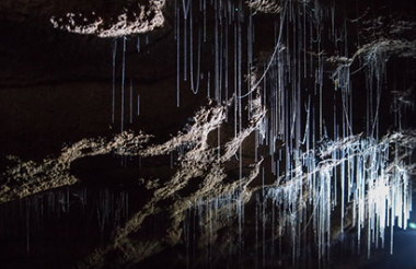 Underworld Adventures - Glowworm Cave Tour