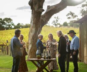 South Australia vineyard: credit to Tourism Australia