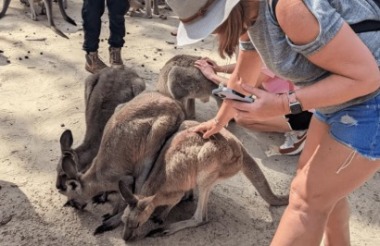 Exploring New Zealand's incredible scenery