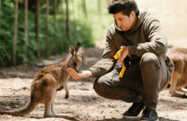 NZ self drive itineraries and package holidays