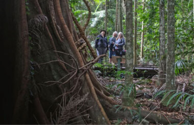 Byron Bay Wildlife Safari with Vision Walks Eco Tours