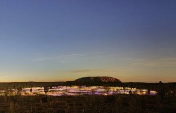 Luxury Cairns, Uluru and Sydney Escape - Day 3