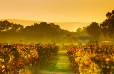 Experience the best of New Zealand with these touring ideas