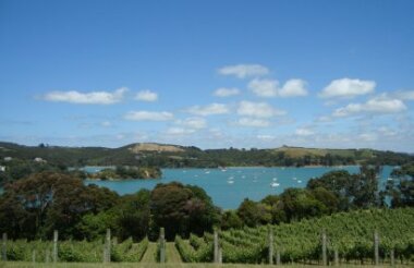 Waiheke Island Explorer Hop On Hop Off Tour