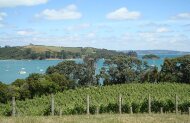 Waiheke Island Luxury Private Tour with Auckland & Beyond Tours - Lunch Included