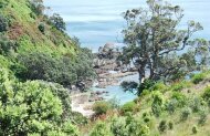 Walking tracks in and around Waiheke Island