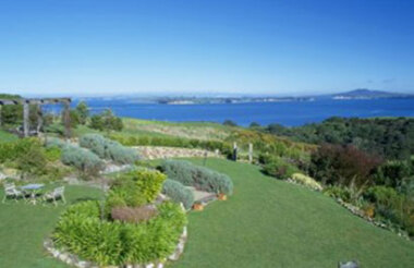 Waiheke Island Luxury Private Tour with Auckland & Beyond Tours- Lunch Included