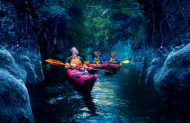 Waimarino Evening Glow Worm Kayak Tour