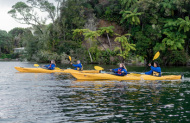 Lake Rotoiti Starlight Kayaking Tour