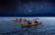 Starlight Gourmet Kayak Tour with Waimarino