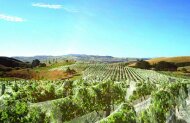 Waipara Valley Wine Trail and lunch with Leisure Tours