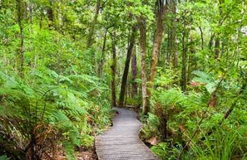 The Essential New Zealand - Day 4