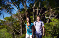 Wilderness Experience Half Day Tour with Bush and Beach
