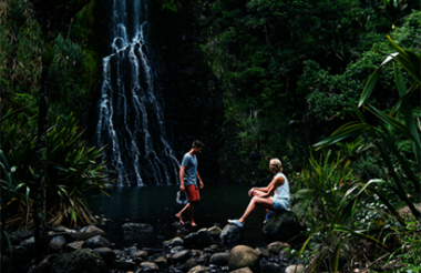 Waitakere Ranges