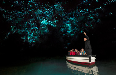 Rotorua to Auckland including Waitomo Caves with GreatSights (Includes Picnic Lunch)