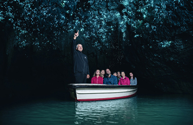 Auckland to Rotorua and Waitomo Caves with FlexiTours