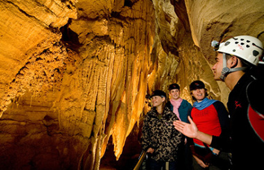 Auckland to Rotorua Waitomo Caves Day Tour with GreatSights (Includes Picnic Lunch)