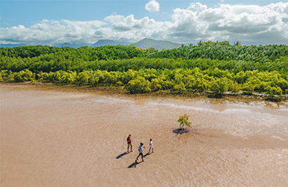 Queensland's Tropical North Holiday - Day 6