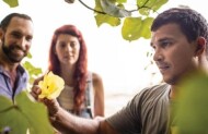 Ngana Kulkinga Dungay: We All Going Cape Tribulation with Walkabout Cultural Adventures - Lunch Included