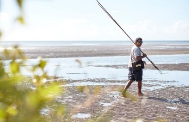 Ngana Julaymba Dungay: We All Going Daintree Walkabout Cultural Adventures Full Day - Lunch Included