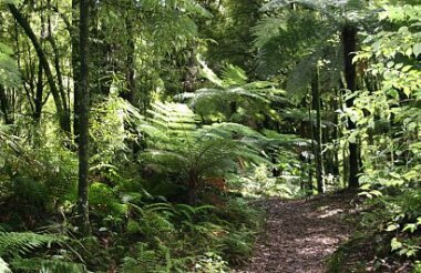 Tongariro 3.5 Day Hiking Tour