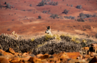 Explore New Zealand with these great holiday ideas