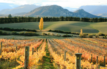 Central Otago Food and Wine Tour - Day 4