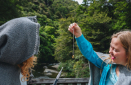 Wellington's Original Lord of the Rings Full Day Experience with Wellington Rings Tours  - lunch included