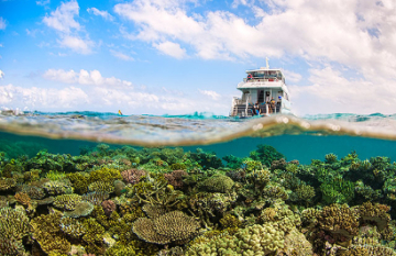 Ultimate East & South Coast Adventure - Day 16