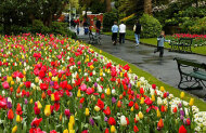 Wellington Botanic Gardens