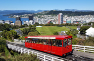 Wellington City and Bays Tour with GreatSights