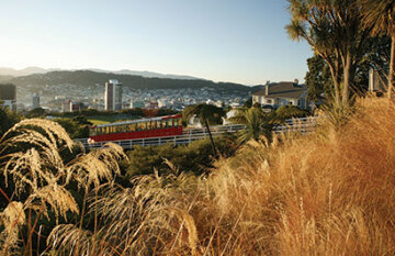 Wellington to Queenstown Explorer Tour - Day 1