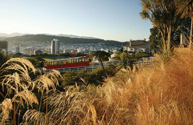 Taupō to Wellington by Intercity Coach