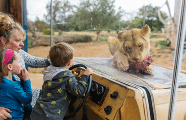 Admission to Werribee Open Range Zoo