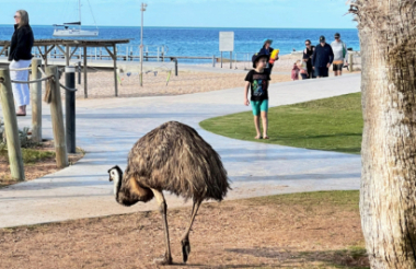 New Zealand holidays & tours