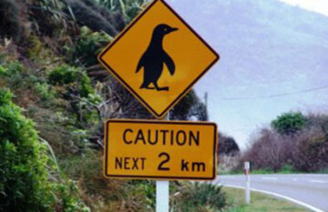 Coast to Coast South Island Family Adventure - Day 12