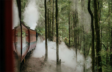 East to the West Tassie Road Trip - Day 13