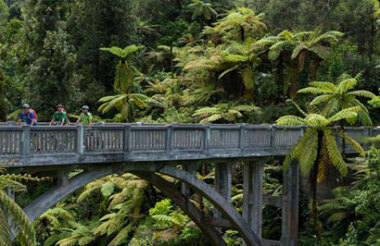 Whanganui National Park