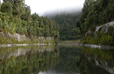 Whanganui National Park