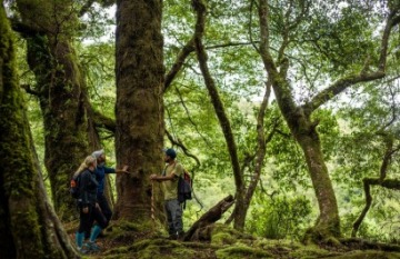 On Island Time - Day 6