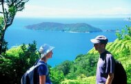 Queen Charlotte Sound Kayak & Walk with Wilderness Guides - Lunch Included